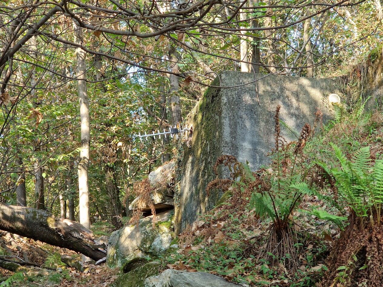 Il bacino in cemento nel bosco, tra castagni e felci, con l’antenna sul muro